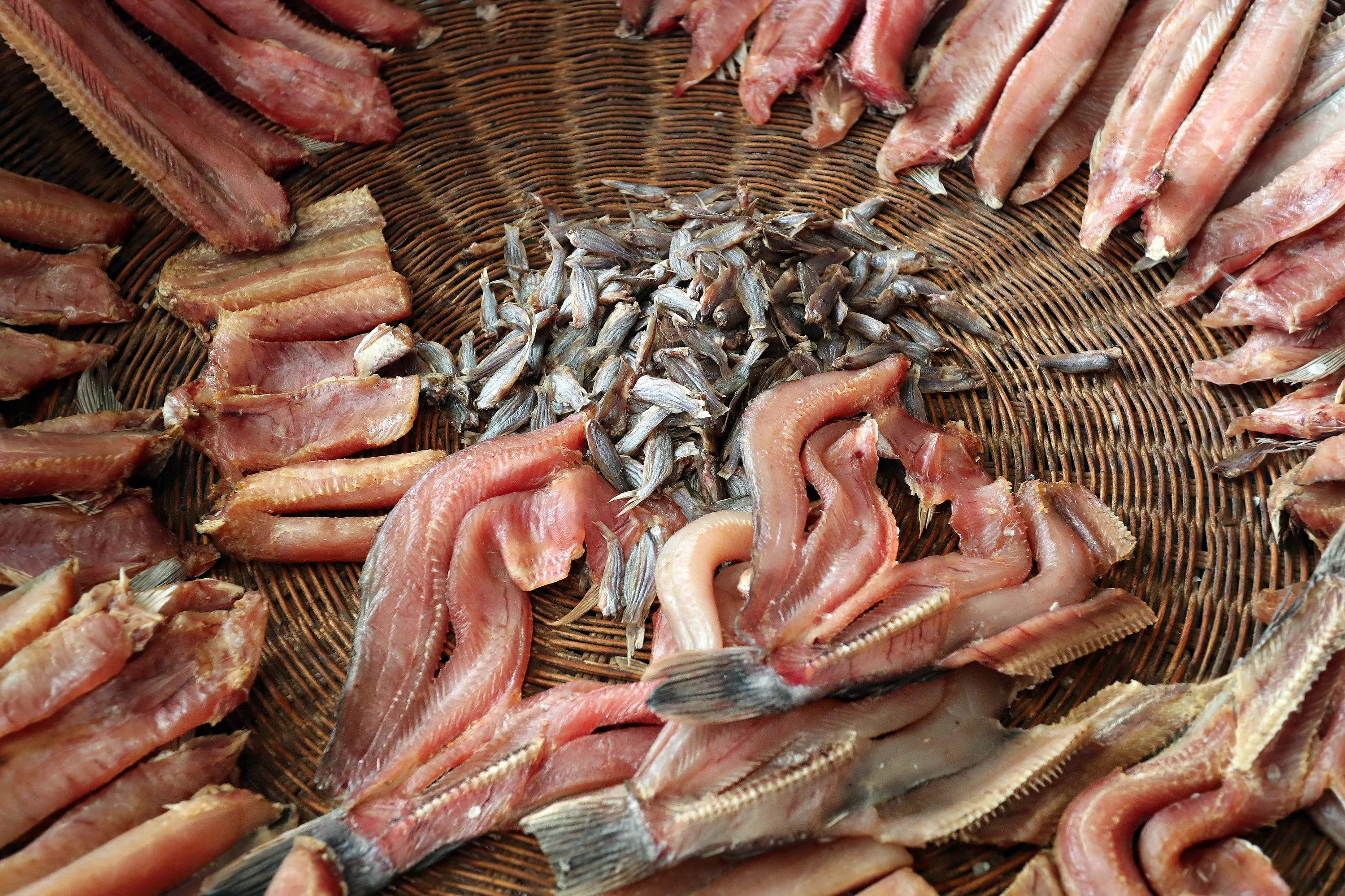 Fish drying in the sun in Kompong Khleang
