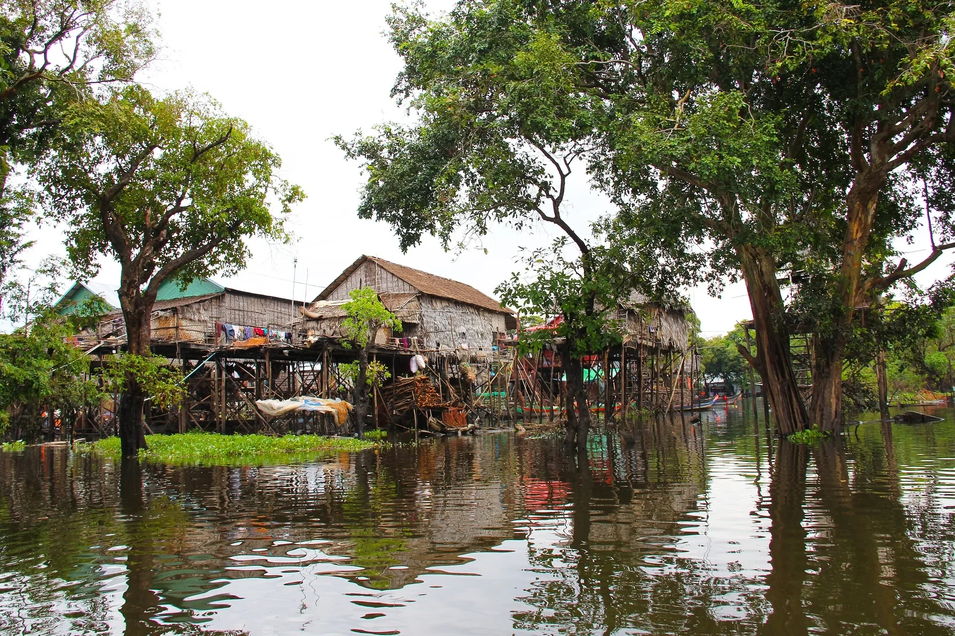 Kompong Phluk community tourism boat