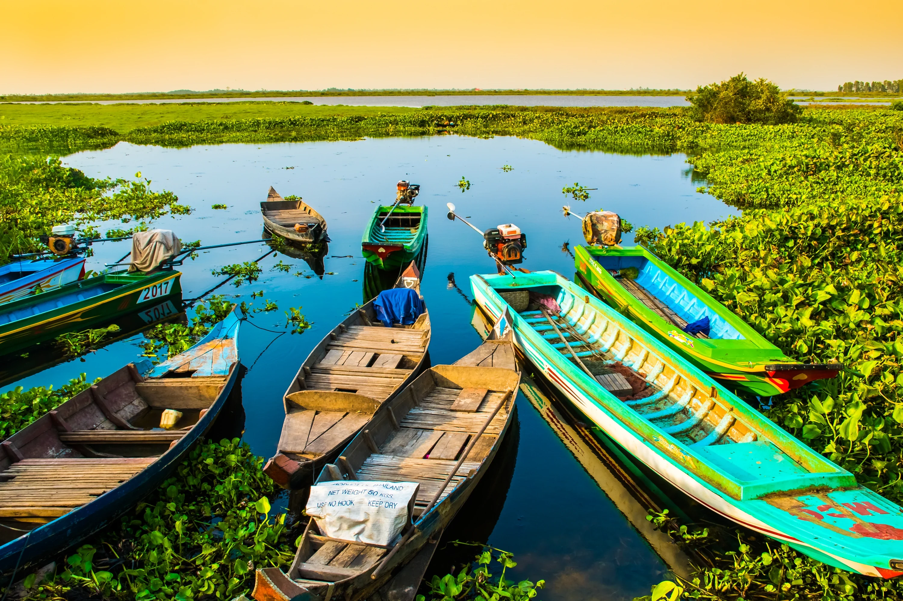 Canoes waiting on the water hyacinth at the floating village