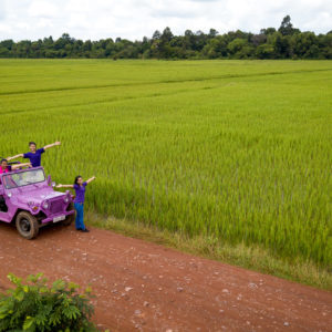 Lavender Jeep Tour