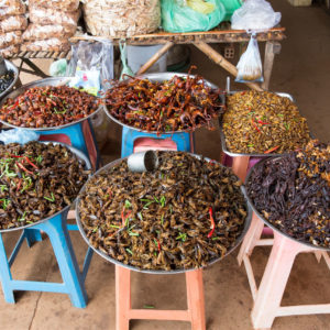 Cambodian Insects on the Floating Village Street Food Tour