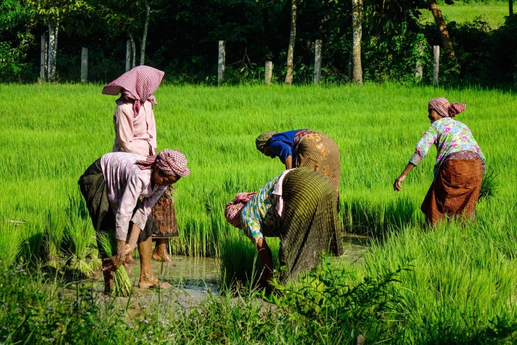 Full-Day Countryside & Floating Village Tour - The Tonle Sap Experience