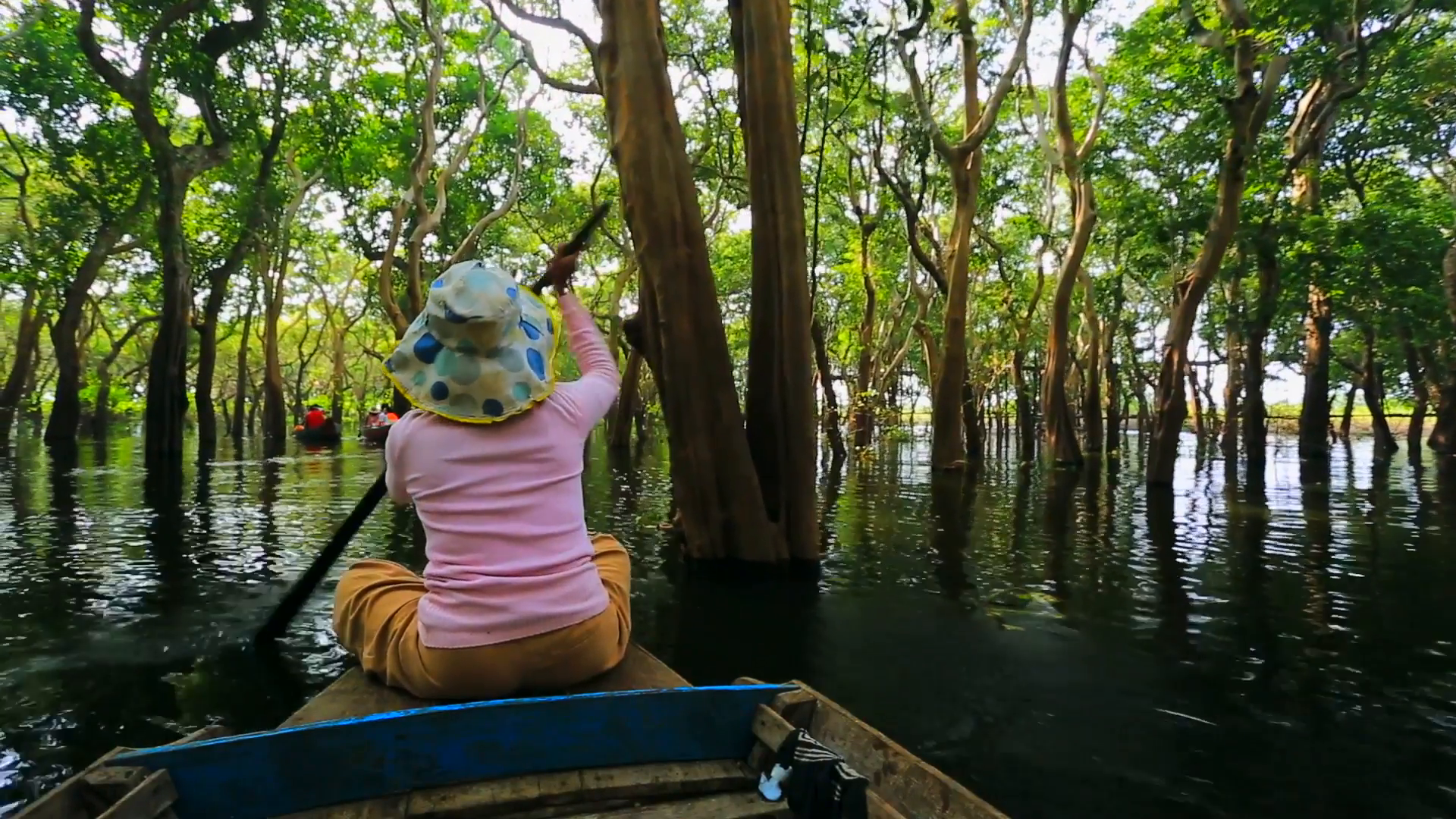 Flooded Forest Canoe